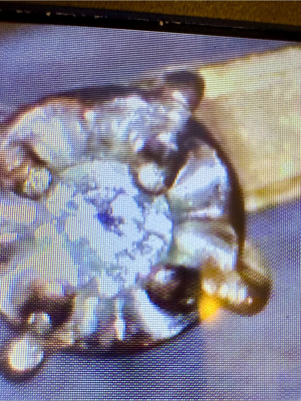 Classic Brushed 14kt Gold Solitaire Ring with Natural Diamond - Picture 4 of 11